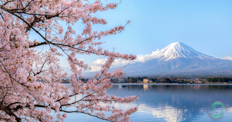 A photo of a cherry blossom tree in full bloom with a snow-capped mountain in the background. The cherry blossoms, a symbol of spring and new beginnings in Japanese culture, could represent the joy of finding your ikigai, or reason for living.